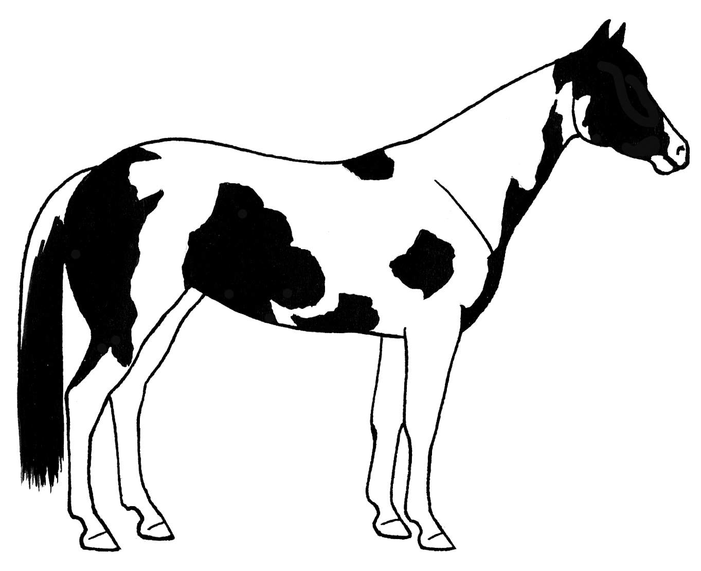 1363x1109 Paint Horse Clipart
