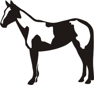 330x300 Paint Horse Vinyl Window Decal