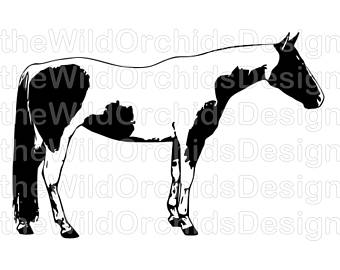 340x270 Paint Horse Sticker Etsy