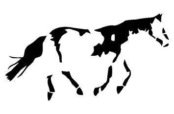 355x233 American Paint Horse Pony Window Decal Sticker Automotive