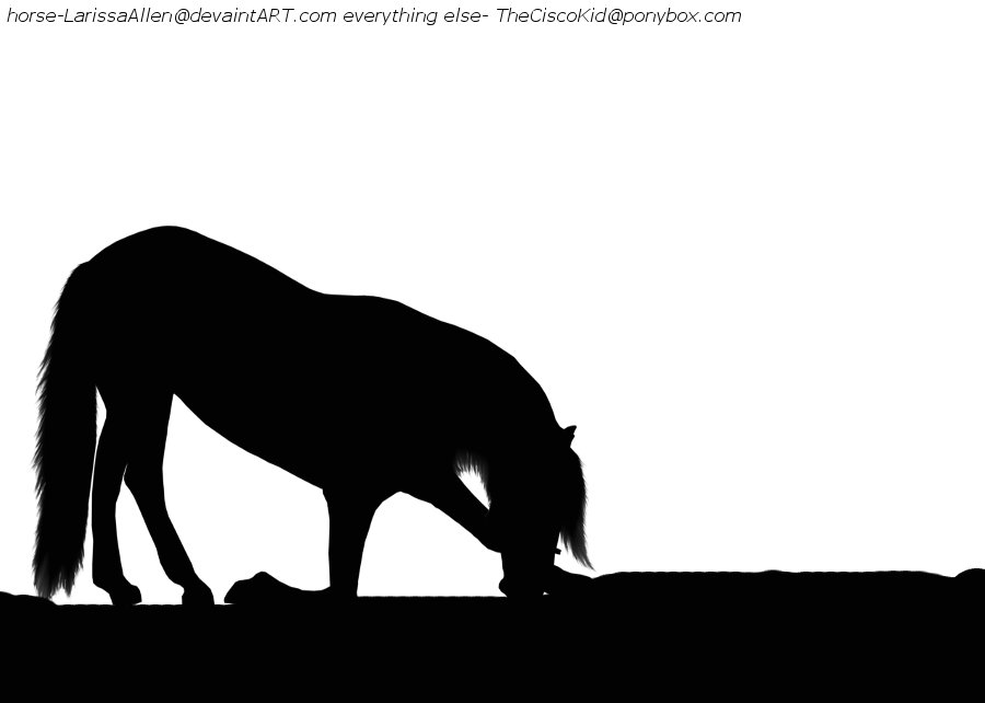 900x642 Bowing Horse Silhouette By Theciscokid67