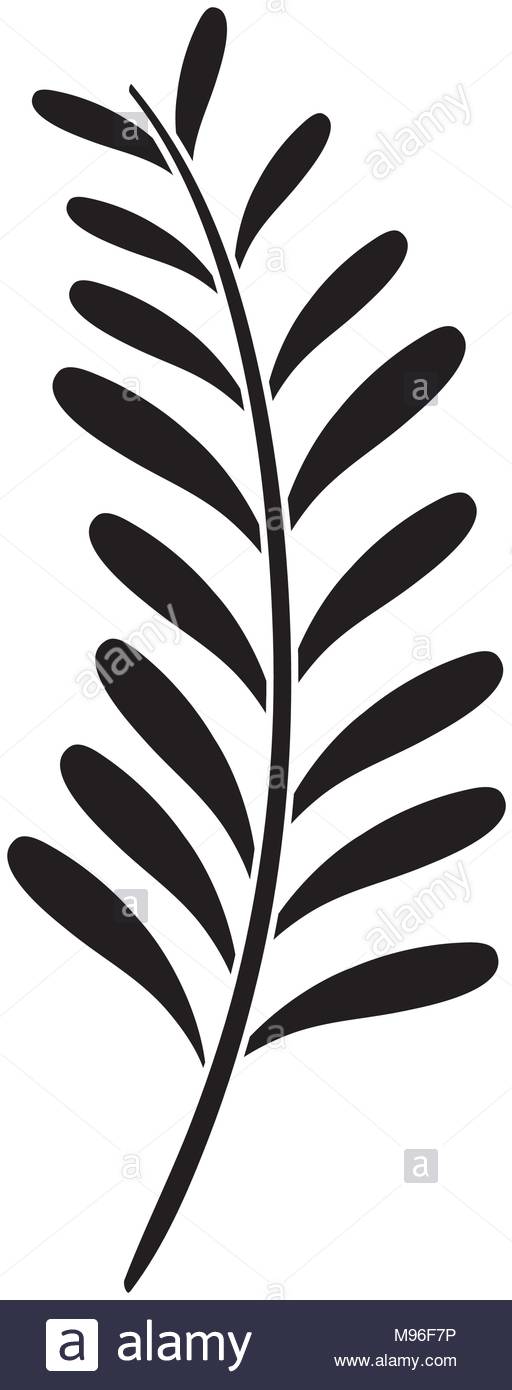 512x1390 Palm Leaves Stock Vector Images