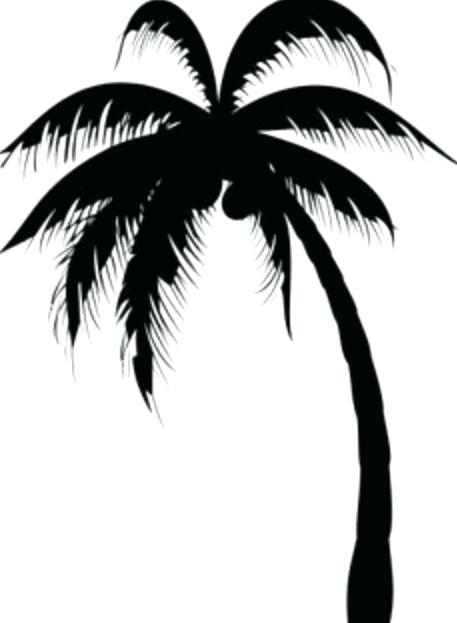 457x623 Palm Trees Drawings Awesome Black Silhouette Palm Tree Tattoo