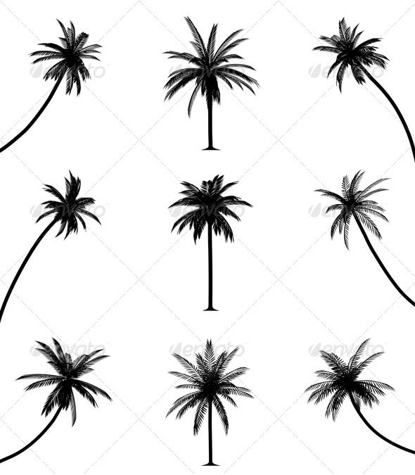 590x675 Palm Trees Palm, Tattoo Templates And Tattoo