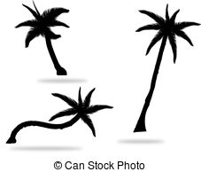 227x194 Set Of Palm Tree Leaves Silhouettes Isolated On White Vector