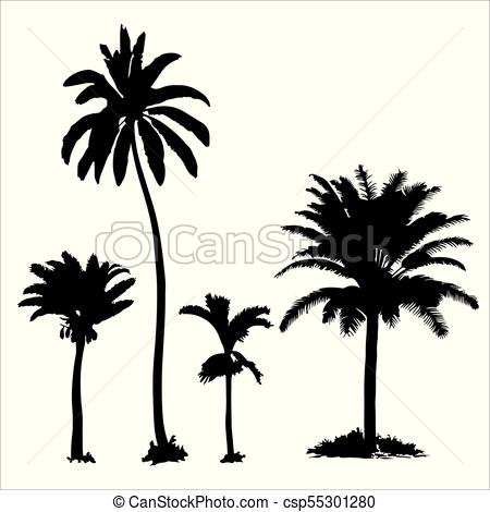 450x470 Set Of Tropical Palm Trees With Leaves, Black Silhouettes