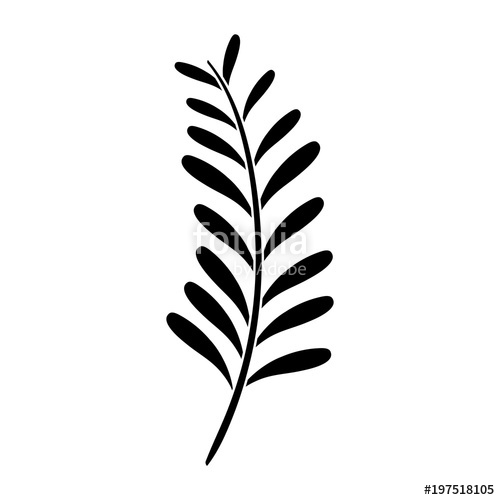 500x500 Silhouette Palm Leaves Tropical Nature Plant Stock Image