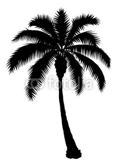 236x334 Single Palm Tree Drawing