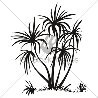 325x325 Palm Trees, Black Silhouettes Gl Stock Images