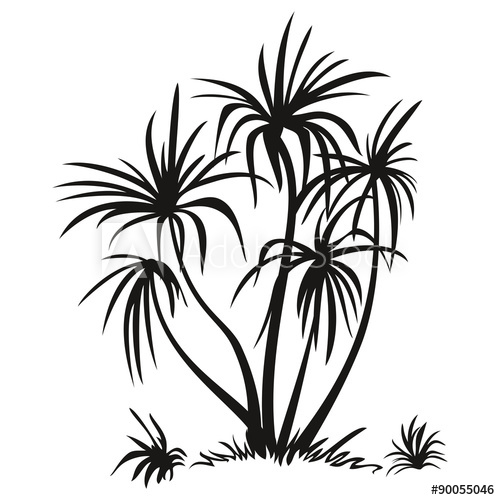 500x500 Palm Trees And Grass Silhouettes