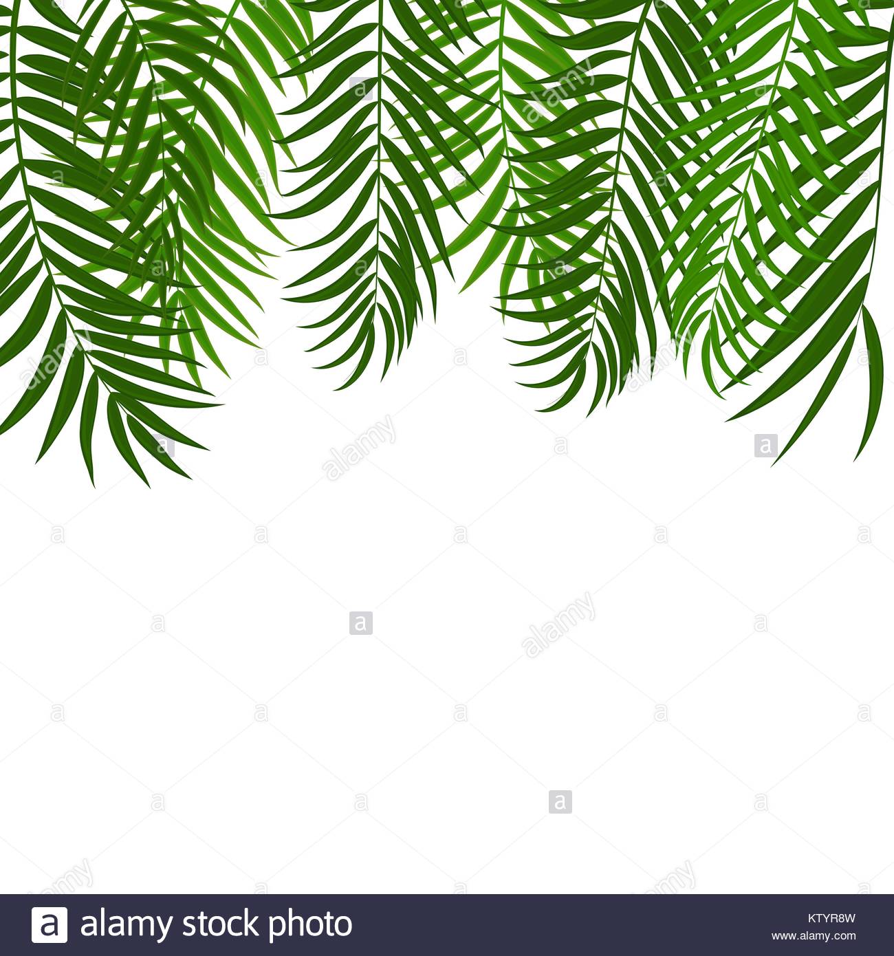 1300x1390 Beautifil Palm Tree Leaf Silhouette Background Vector Illustration
