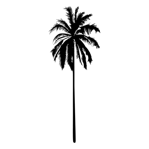 512x512 Straight Standing Silhouette Palm Tree