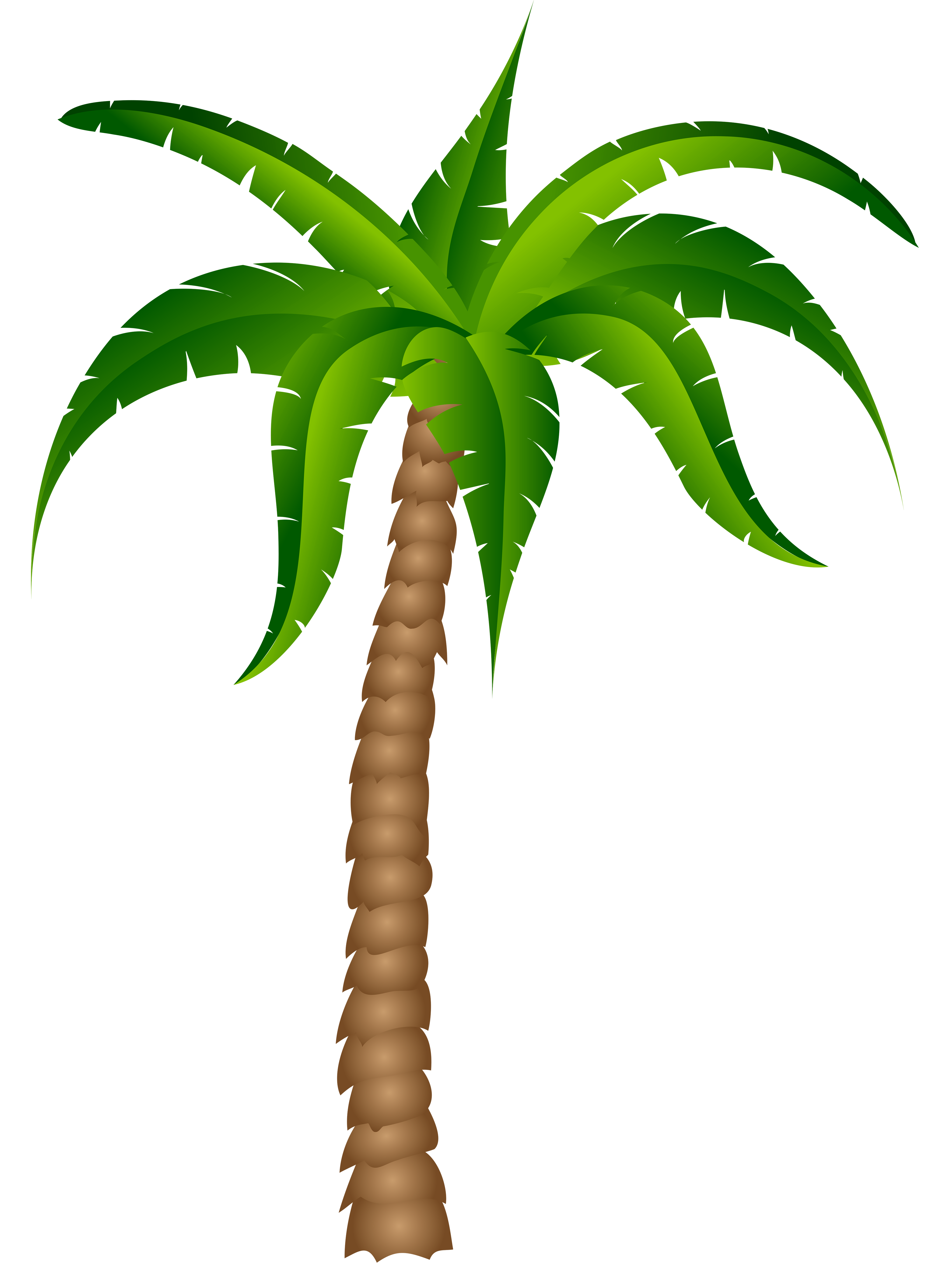 3672x4952 Palm Tree Sunset Clipart Free Images
