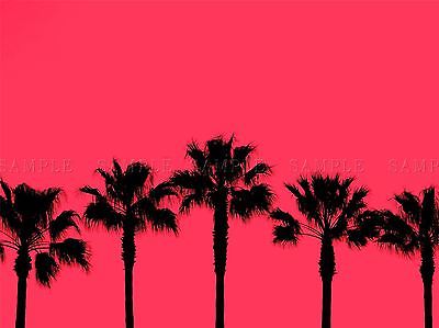 400x299 Arizona Sunset Cacti Cactus Silhouette Painting Photo Art Print