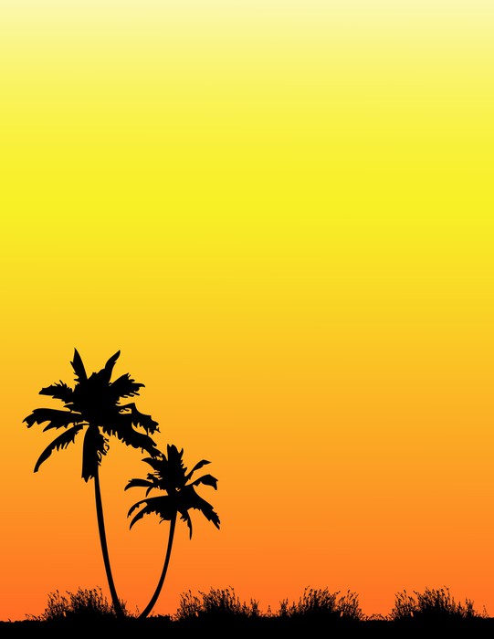 541x700 Coconut Silhouette Wall Mural We Live To Change