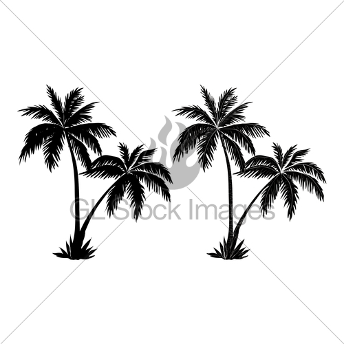 500x500 Palm Trees, Black Silhouettes Gl Stock Images