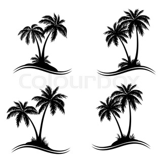 320x320 Palm Trees, Flowers And Grass, Silhouettes Stock Photo Colourbox