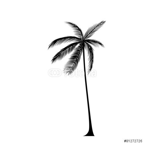 500x500 Vector Palm Tree Black Silhouette Isolated Over White