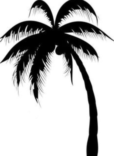 457x623 Awesome Black Silhouette Palm Tree Tattoo Design