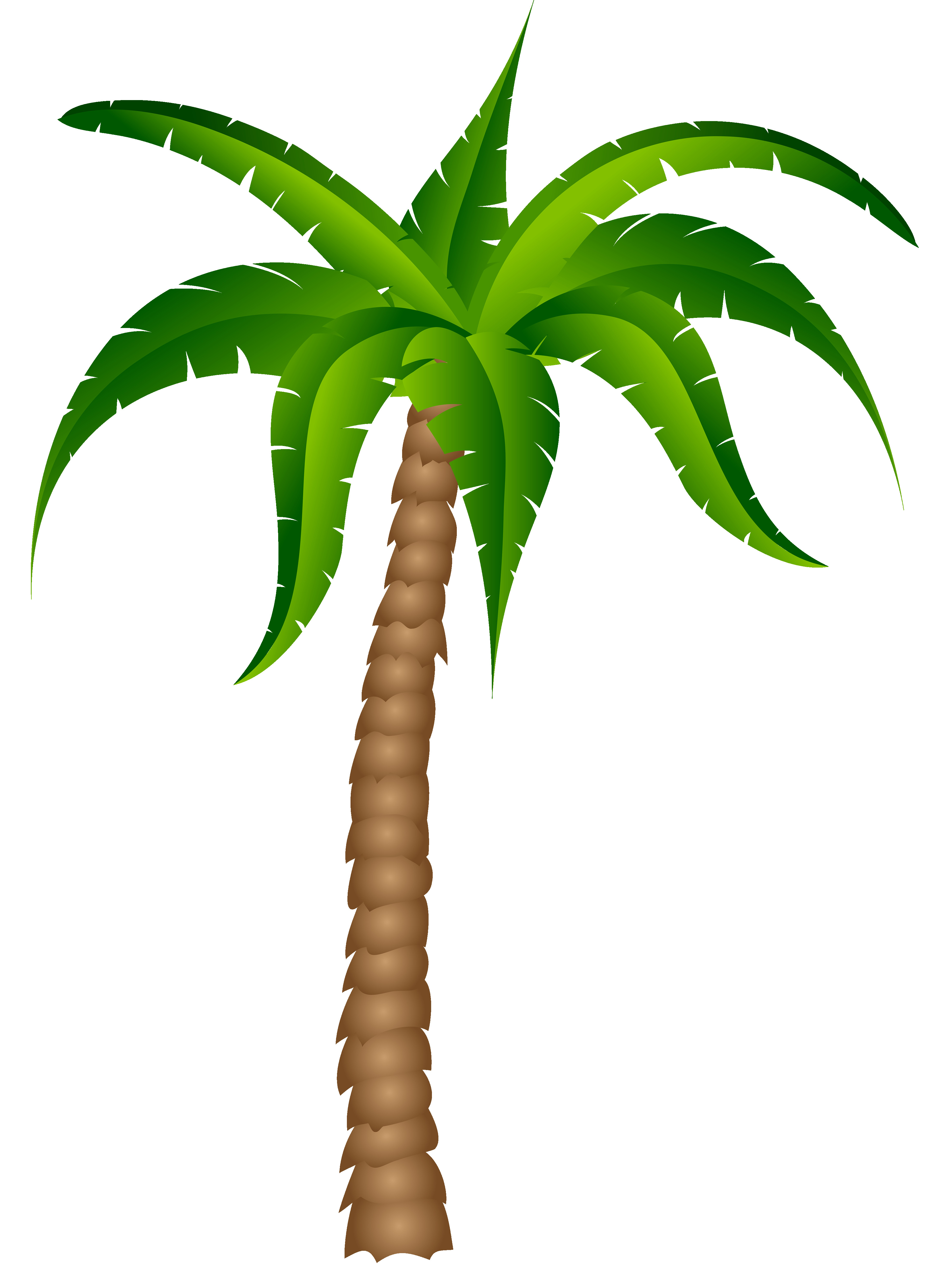 3672x4952 Clipart Palm Tree