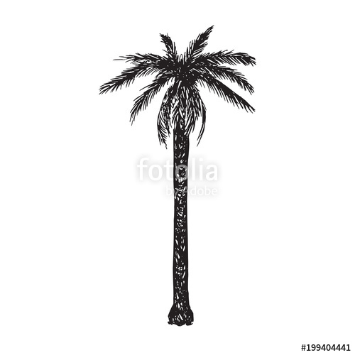 500x500 Palm Tree Silhouette, Hand Drawn Doodle, Sketch In Pop Art Style