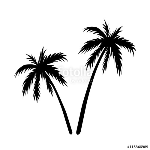 500x500 Two Palms Sketch. Black Coconut Tree Silhouette, Isolated On White