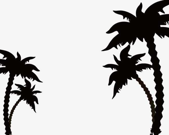 650x520 Coconut Tree Silhouette, Sketch, Coconut Tree, Vector Png