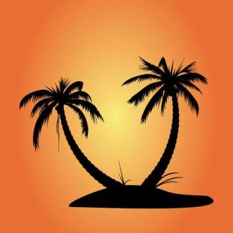 340x340 Palm Tree Silhouettes Vector Free 123freevectors