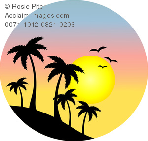 300x287 Image Silhouettes Palm Trees And Birds In Front