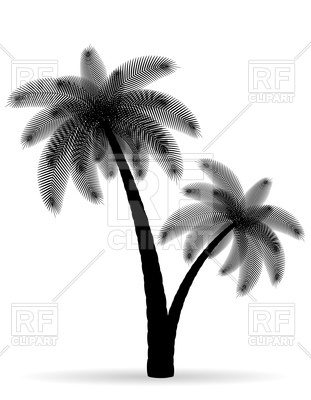 311x400 Palm Tree Black Silhouette Royalty Free Vector Clip Art Image
