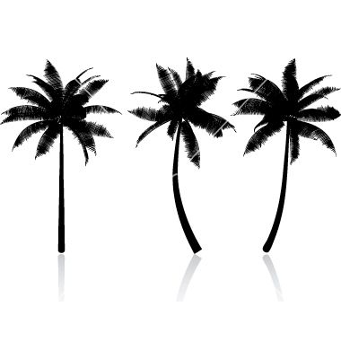 380x400 Palm Tree Graphics Vector Tatuaje Palm, Graphics