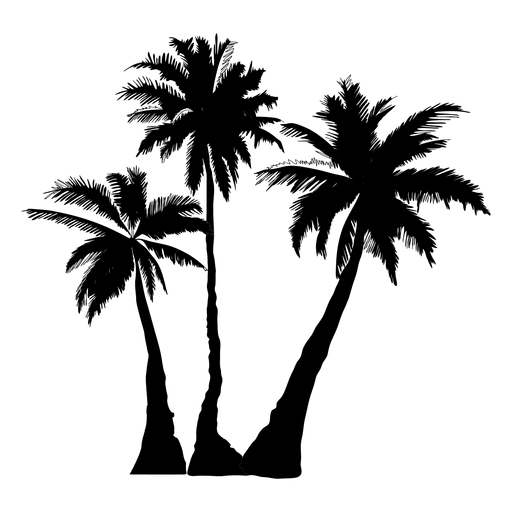 Palm Trees Silhouette Vector at GetDrawings | Free download