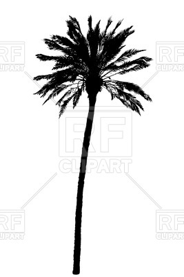 267x400 Palm Tree Silhouette Royalty Free Vector Clip Art Image