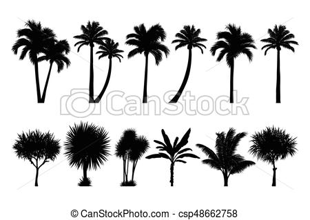 450x319 Vector Set Of Tropical Palm And Tree Silhouettes. Eps Clipart