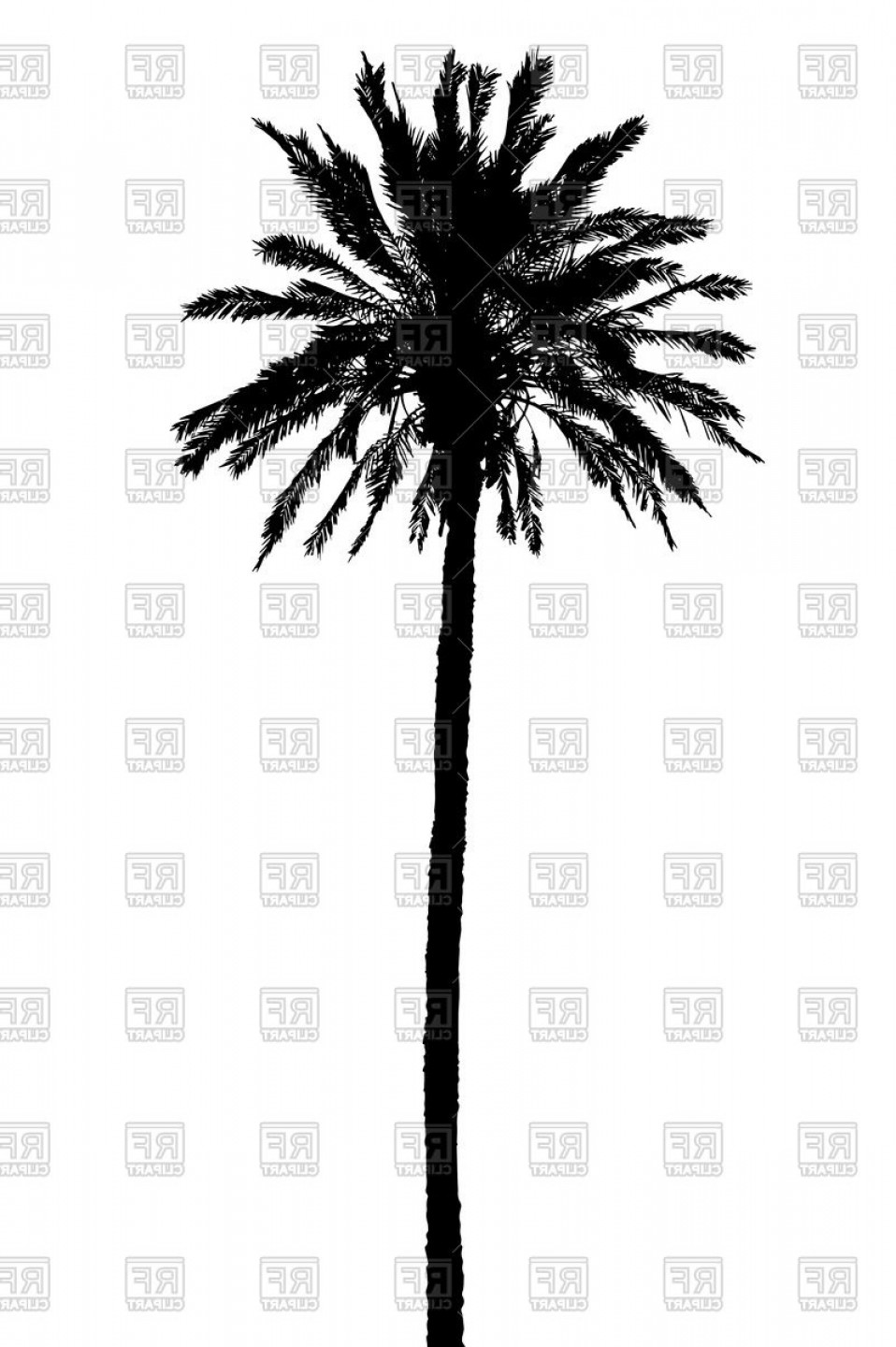 958x1440 Palm Tree In Vector Format Sohadacouri