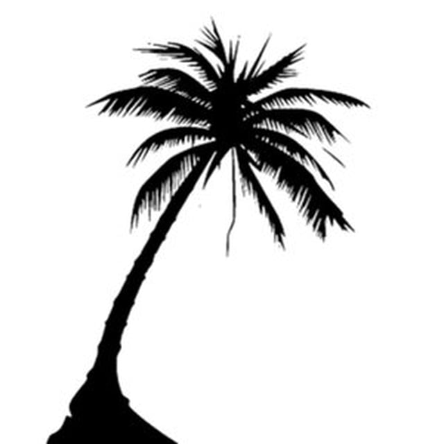 640x640 Silhouette Palm Tree Tattoo Design Art Tree Tattoo