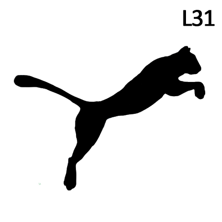 450x450 Mascot Graphics