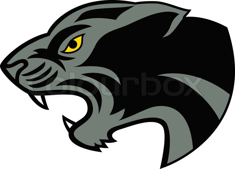 800x578 Panther Head Vector