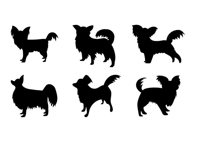 700x490 Papillon Vector