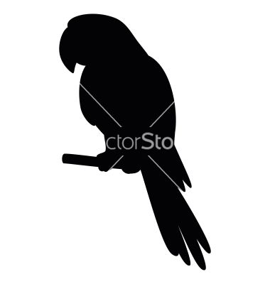380x400 Parrot a pole silhouette vector 768226  +by+alexcoolok