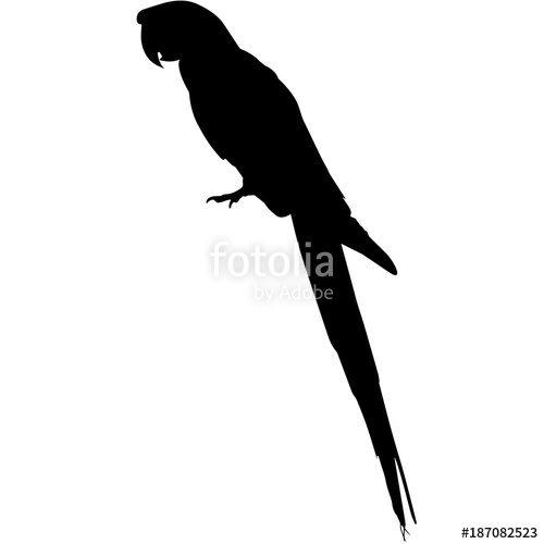 500x500 Parrot Silhouette Vector Graphics Stock Image And Royalty Free