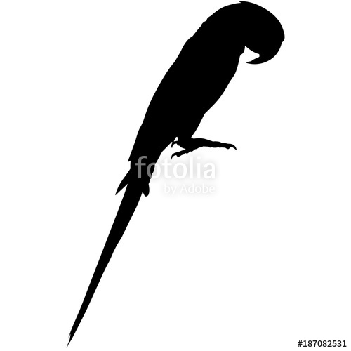 500x500 Parrot Silhouette Vector Graphics Stock Image And Royalty Free