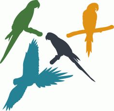 236x230 Parrot Silhouette Clip Art ,13 Png Clipart , Instant Download