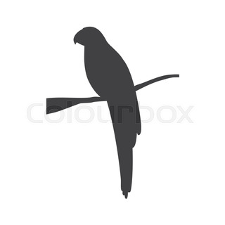 320x320 Parrot On A Pole, Silhouette Stock Vector Colourbox