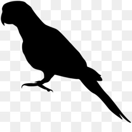 260x260 Amazon Parrot Png And Psd Free Download