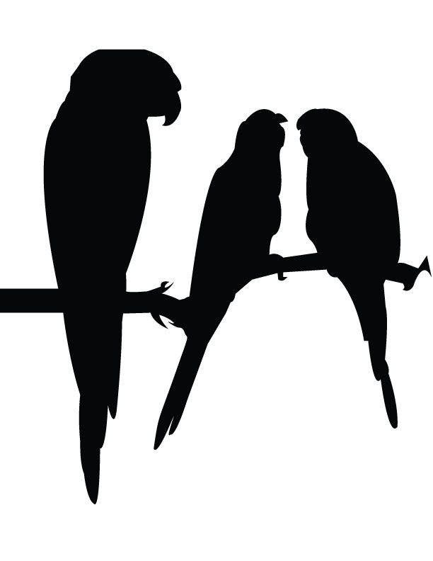 612x792 More Like Bird Silhouette By Curious Lil Soul Lih