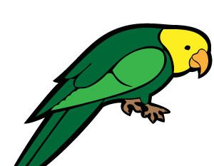 300x233 Flying Parrot Silhouette Free Vectors Ui Download