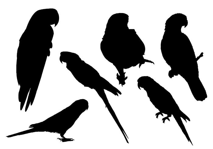 700x490 Free Parrot Silhouette Vector