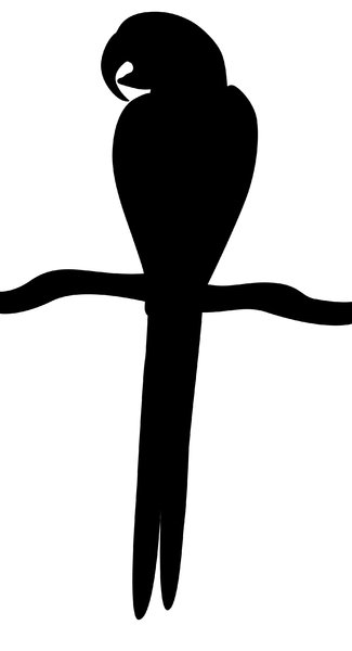 325x600 Free Stock Photos