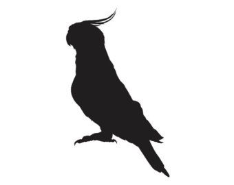 340x270 14 Best Bird Silhouette Images On Parrots, Silhouette